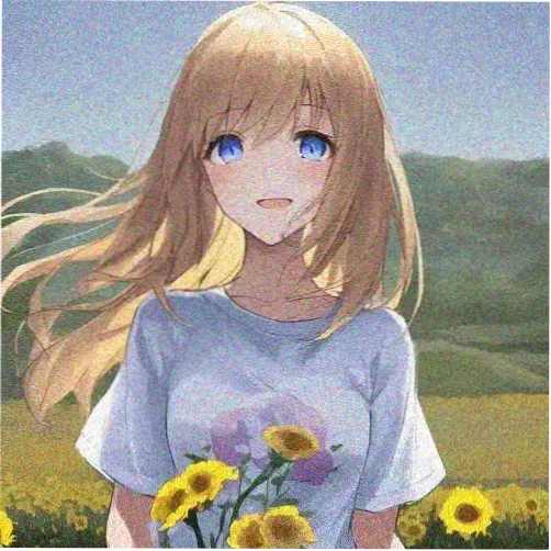 读者半盏灯头像